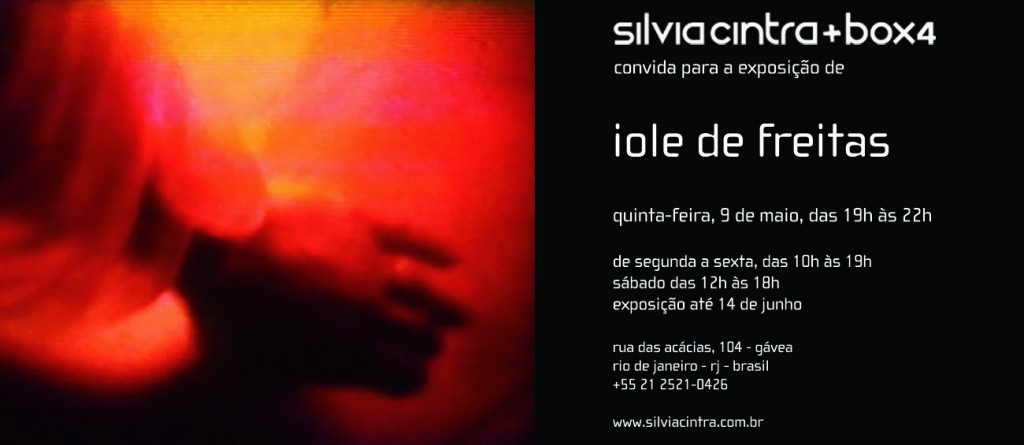 Iole_de_Freitas.1