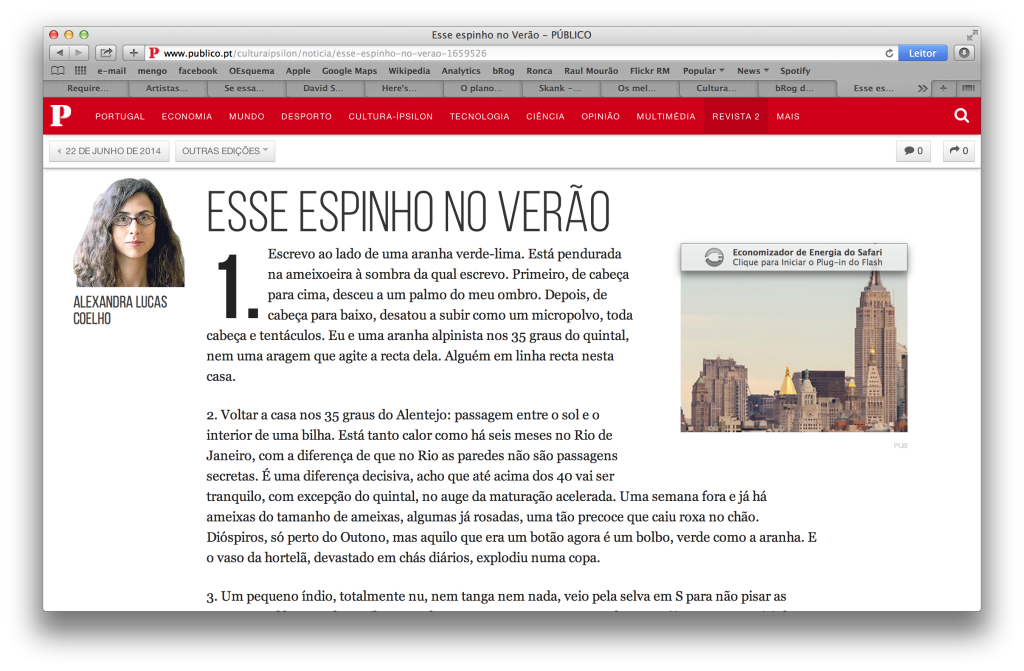 alexandra_o_plano_e_o_acaso_o_publico_espinho
