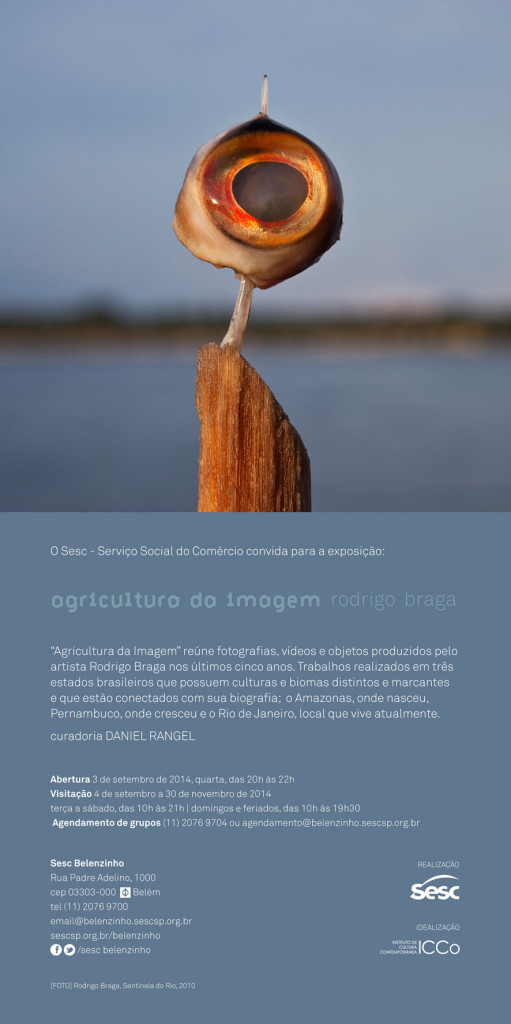 rodrigo braga agricultura da imagem
